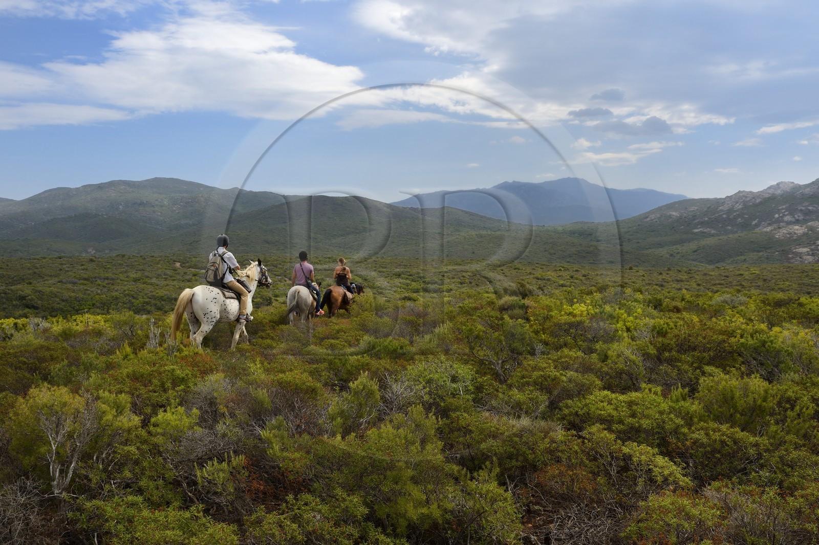 France, Haute-Corse (2B), Nebbio, cavaliers en randonnée dans le désert des Agriates