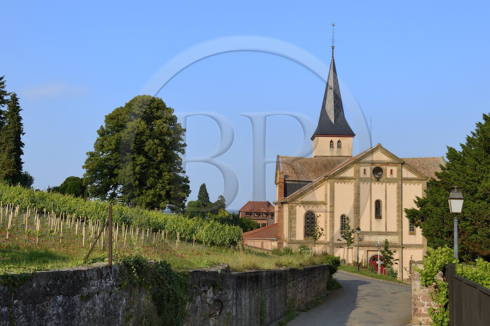 France, Bas-Rhin (67), Route des Vins d'Alsace, Barr, église protestante Saint-Martin