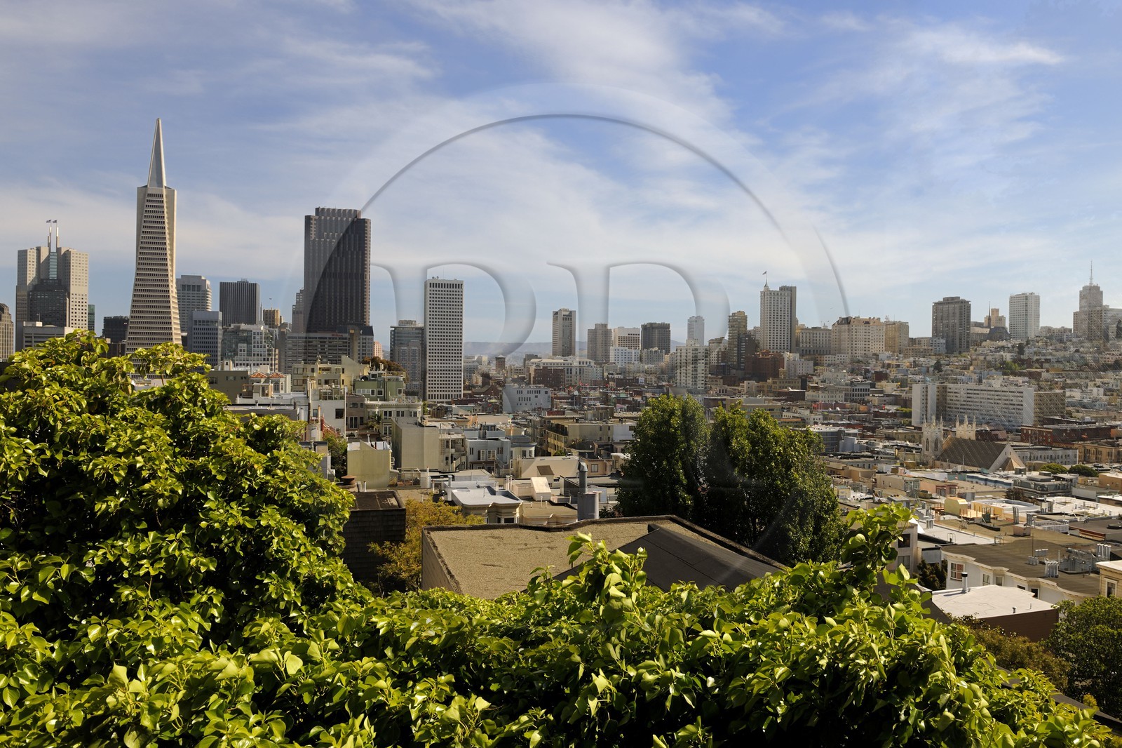 Etats-Unis, Californie, San Francisco, financial district, Transamerica Pyramid Building par l'architecte William Leonard Pereira