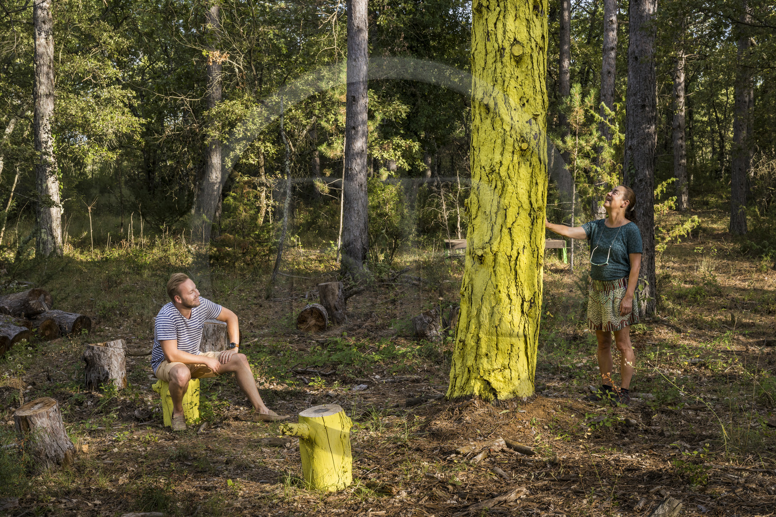 France, Var (83), Provence Verte, Bras, Académie du Bain de Forêt Provençale, forêt du domaine Le Peyrourier - une campagne en Provence