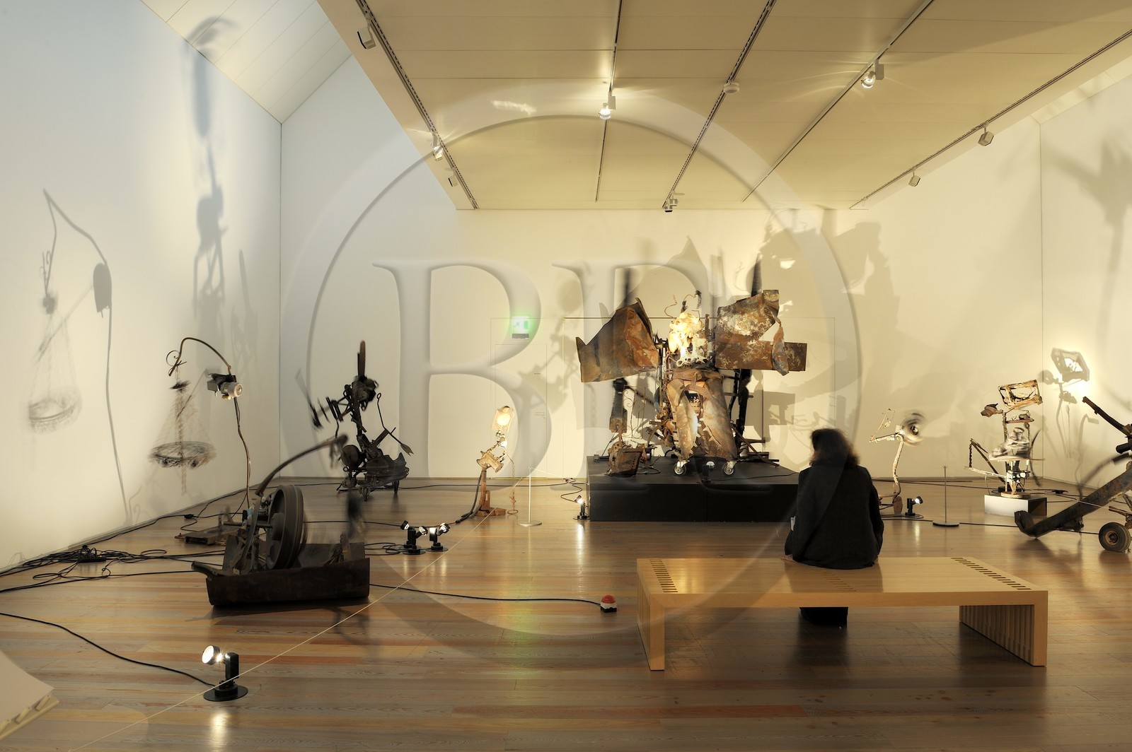 Suisse, Bâle, musée Tinguely