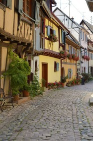 France, Haut Rhin, Eguisheim, labelled Les Plus Beaux Villages de France (The Most Beautiful Villages of France), traditional half-timbered houses in the South Rampart Street