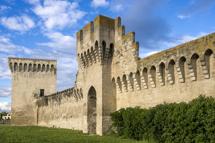 France, Vaucluse (84), Avignon, les remparts sur les bords du Rhône