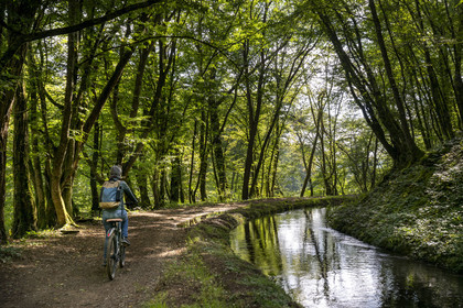 France, Nievre, Regional Natural Park of Morvan, upstream of the Montreuillon aqueduct, cyclist on the path along the Rigole d'Yonne which draws water from the Yonne at Lake Pannecière and feeds the Nivernais Canal
