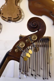 France, Dordogne, White Perigord, Perigueux, the stringed-instrument maker Damien Florio workshop