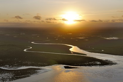 France, Manche, tide going up in the salt marshes of the Mont Saint Michel at dawn