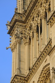 France, Paris (75), Ile de la Cité, cathédrale Notre-Dame de Paris, gargouilles de la tour nord