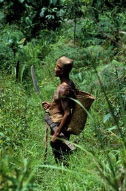Malaysia, Borneo island, Sarawak, Iban warrior brandishing his parang (saber)