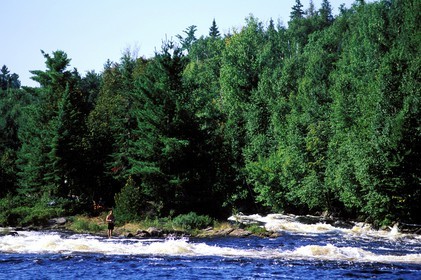 Canada, province de Québec, Réserve faunique de la Vérendrye, rivière des Outaouais, pêcheur sur un îlot dans les rapides