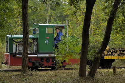 France, Charente-Maritime (17), Ile d'Oléron, pointe de Maumusson, petit train de Saint-Trojan-Les-Bains