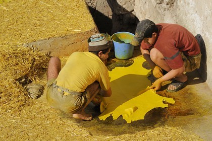 Maroc, Moyen Atlas, Fès, ville impériale, médina classée Patrimoine Mondial de l'UNESCO, Fès el Bali, quartier des tanneurs, Chouara