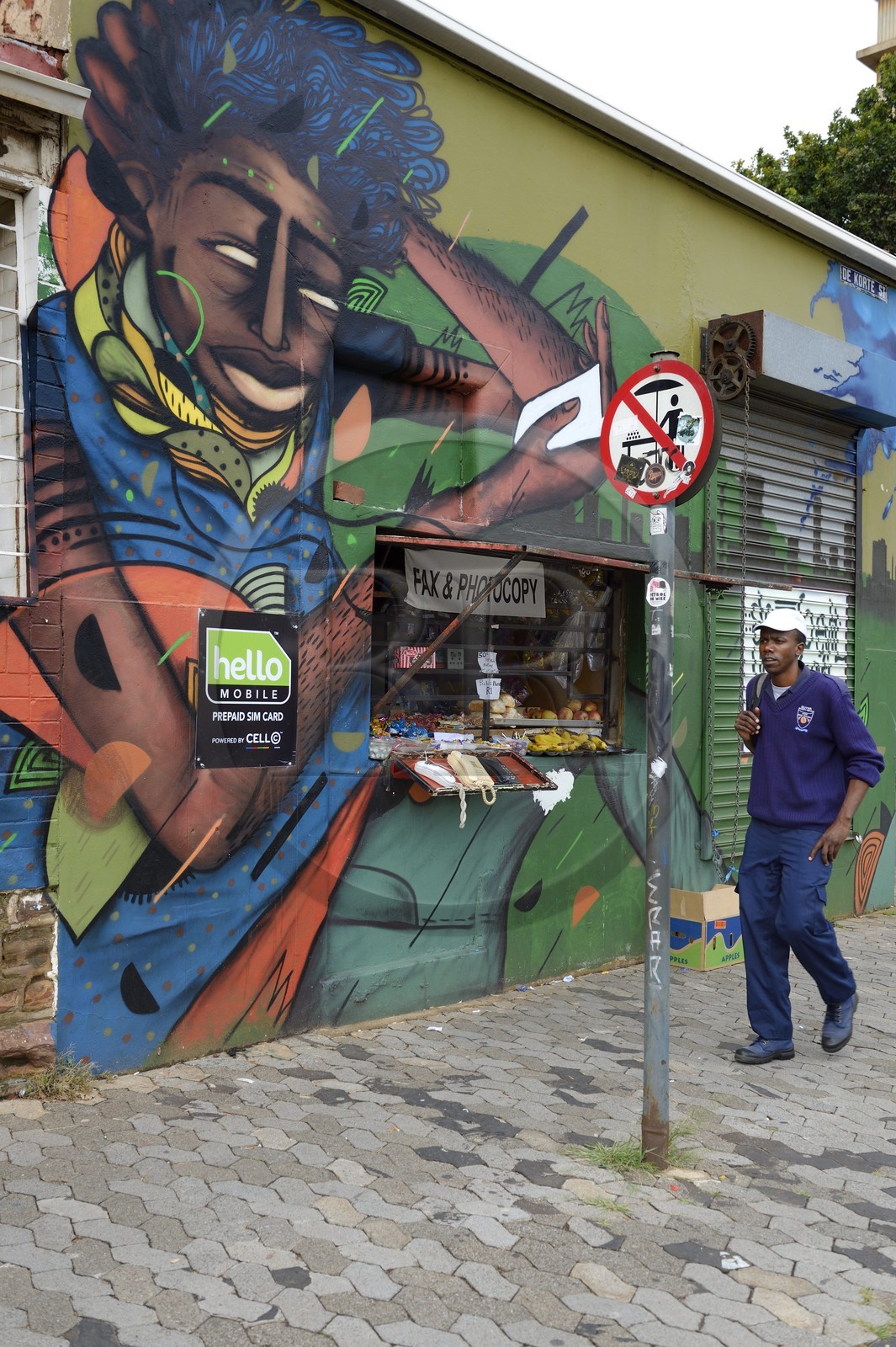 Afrique du Sud, province de Gauteng, Johannesburg, quartier de Braamfontein, mur peint dans De Korte street