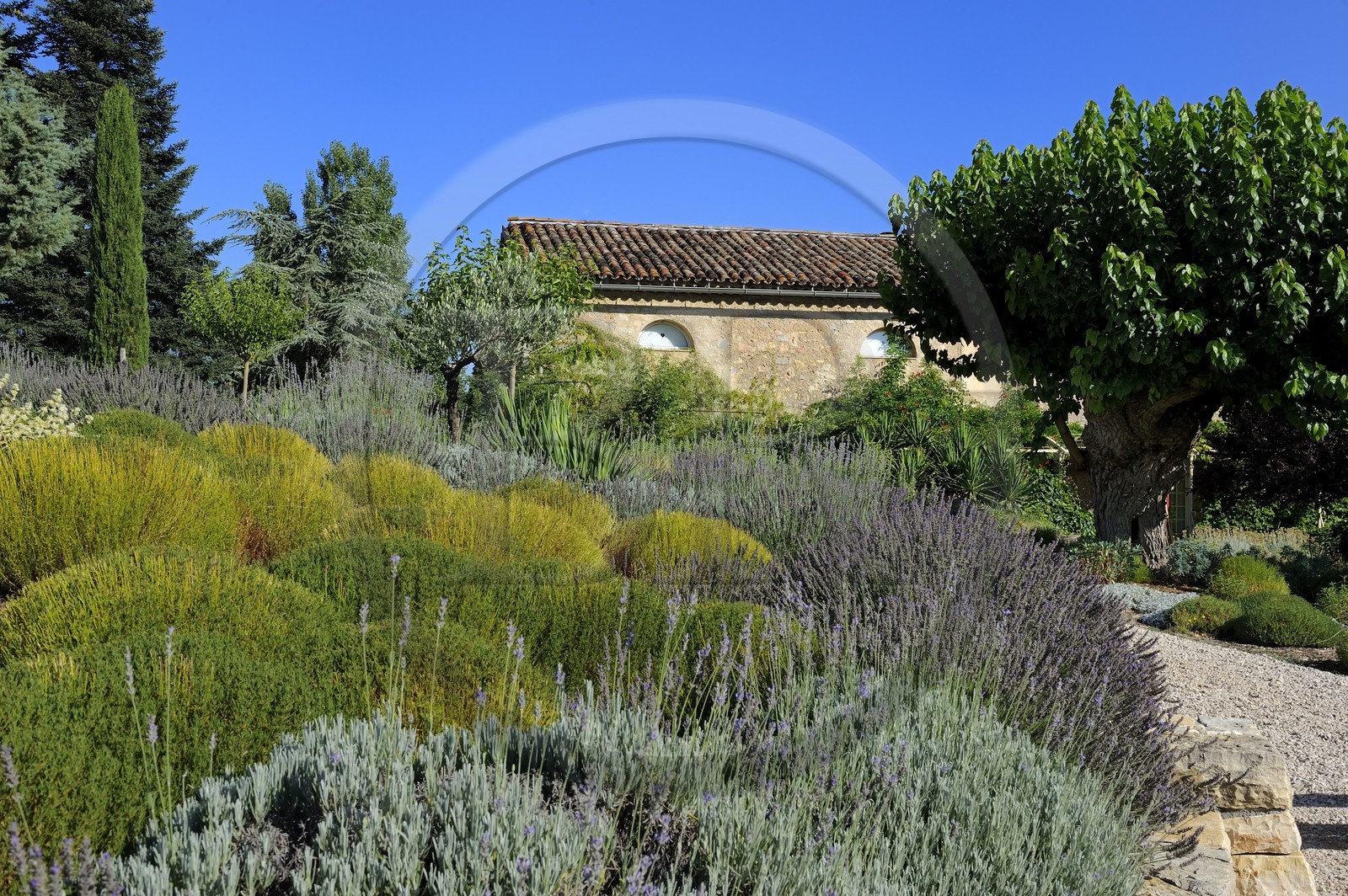 France, Var (83), Provence Verte, Bras, vers Saint-Maximin-la-Sainte-Baume, la maison d'hôtes Le Peyrourier, une campagne en Provence