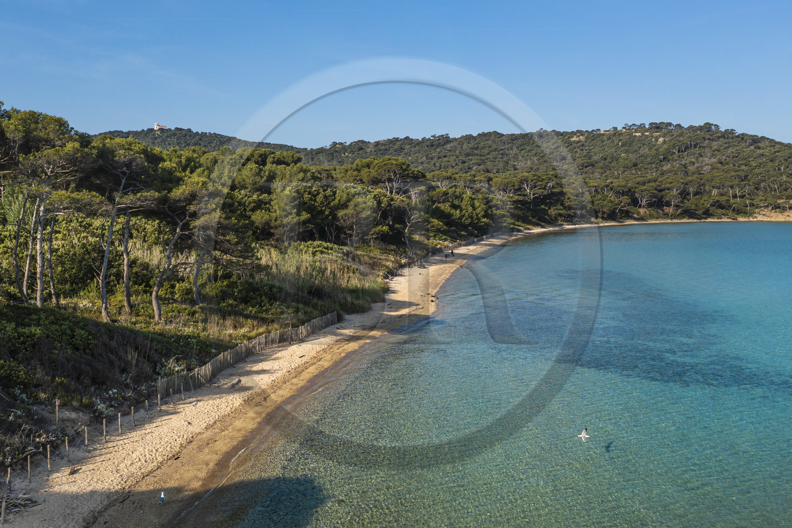France, Var (83), Iles d'Hyères, parc national de Port Cros, Ile de Porquerolles, la plage Notre-Dame dans la Baie de l'Alycastre (vue aérienne)