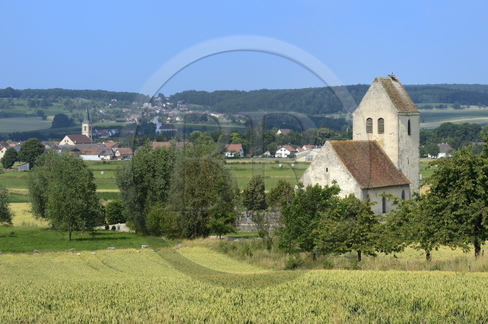 France, Haut Rhin, Sundgau, Oltingue, Saint-Martin-des-Champs church