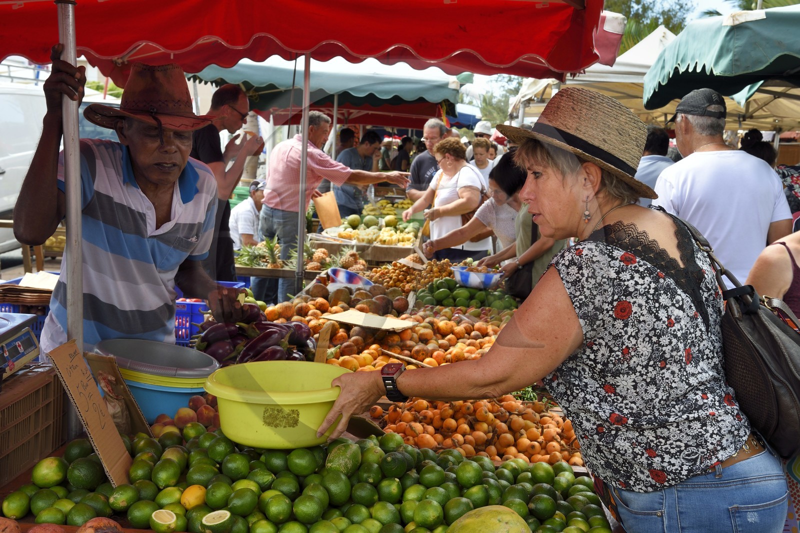 France, Ile de la Reunion, Saint-Pierre, le marché du samedi, les étals de fruits et légumes