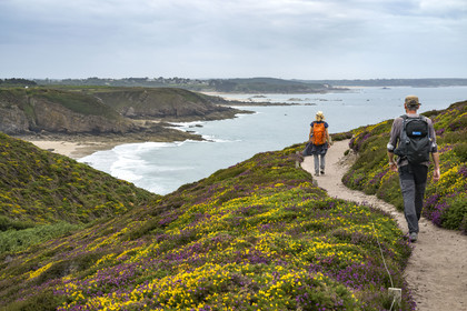 France, Côtes d'Armor (22), Grand Site de France Cap d'Erquy – Cap Fréhel, Plévenon, randonneurs sur le chemin de Grande Randonnée GR34 au dessus de la plage de Port au Sud-Est