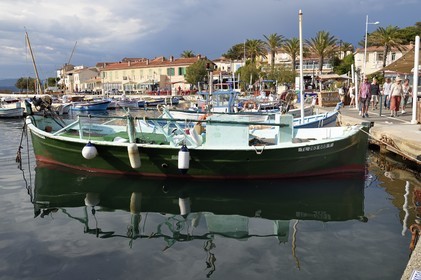 France, Var (83), Six-Fours-les-Plages, Le Brusc, barques de pêche traditionnelles emblématiques de la Provence méditerranéenne appelées Pointu