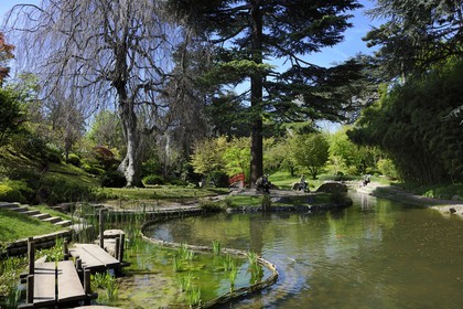France, Hauts-de-Seine (92), Boulogne-Billancourt, le jardin japonais du musée départemental Albert-Kahn