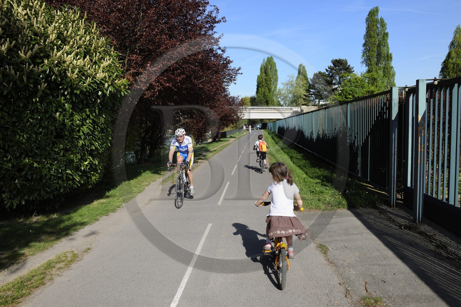 France, Val de Marne, Noisy-Le-Grand, bike lane