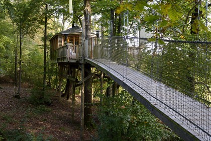France, Marne, regional park of Montagne de Reims, Verzenay, the Perching Bar, a wooden walkway provides access to this amazing champagne bar perched in trees