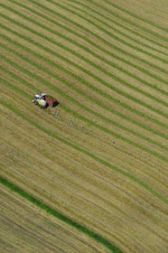 Royaume-Uni, Ecosse, région des Borders, travaux agricoles, goélands se nourissent dans la terre retournée par le tracteur (vue aérienne)