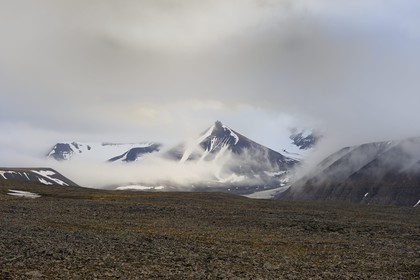 Norvège, Svalbard (Spitzberg), toundra dans la région de Longyearbyen