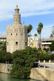 Spain, Andalusia, Seville, Guadalquivir river Banks, the Golden Tower (Torre del Oro), former military watch tower built at the beginnings of the 13th century converted to a Maritime Museum