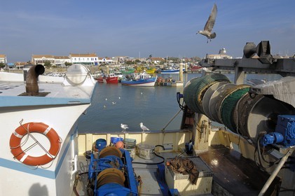 France, Charente-Maritime (17), Ile d'Oléron, port de la Cotinière