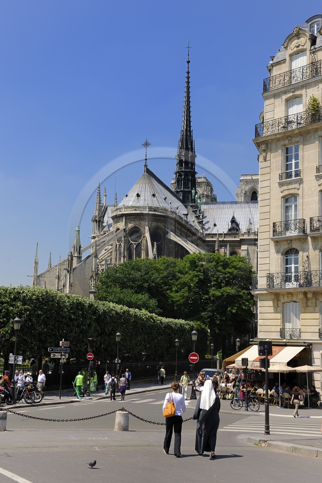 France, Paris (75), île de la Cité, la cathédrale Notre-Dame