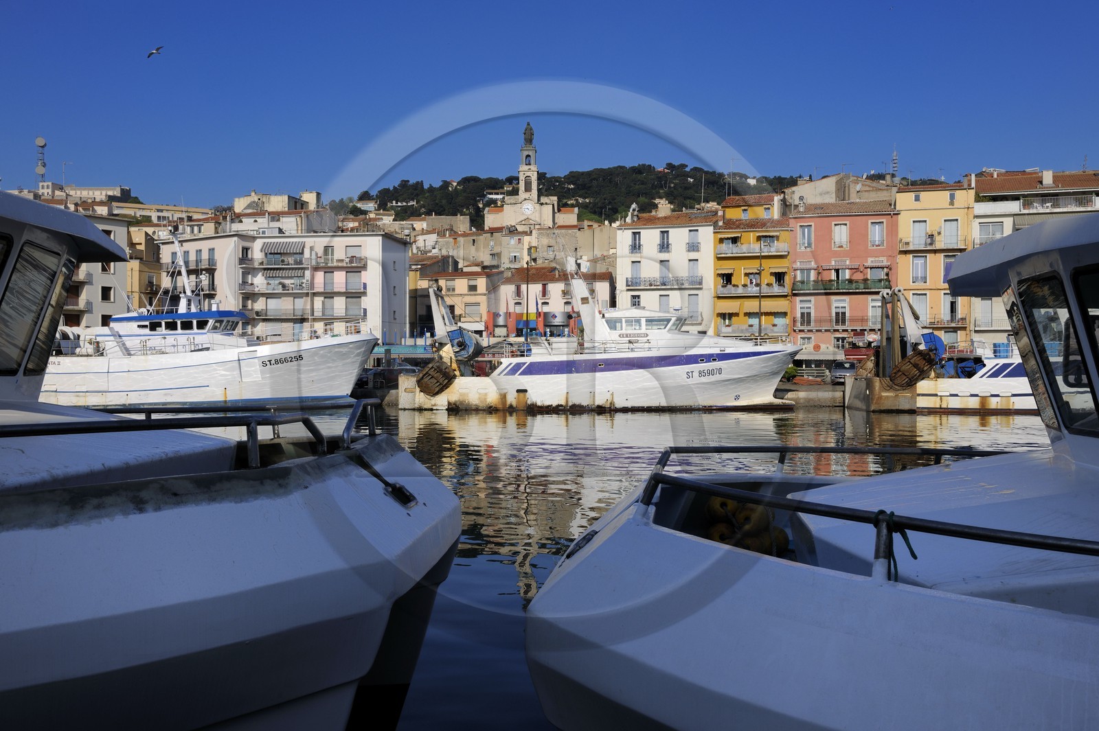 France, Hérault (34), Sète, canal Royal, thonier à quai au pied du Mont Saint-Clair et de l’église décanale saint Louis