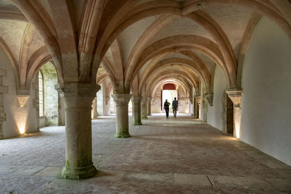 France, Côte-d'Or (21), Marmagne, l'abbaye cistercienne de Fontenay classée au Patrimoine Mondial de l'UNESCO, le scriptorium