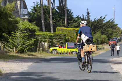 France, Cotes d'Armor, Grand Site de France Cap d'Erquy – Cap Frehel, Sables-d'Or-les-Pins seaside resort at Frehel, dog on bicycle