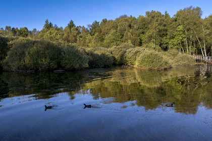 France, Nièvre (58), Parc naturel régional du Morvan, Moux-en-Morvan, lac des Settons, vue depuis la passerelle de Chevigny au sud du lac au niveau de l'embouchure de la rivière Cure, possède un observatoire ornithologique (vue aérienne)