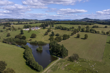 France, Nievre, Regional Natural Park of Morvan, Millay, Les Prairies Gourmandes Farm, breeding of Charolais cows (aerial view)