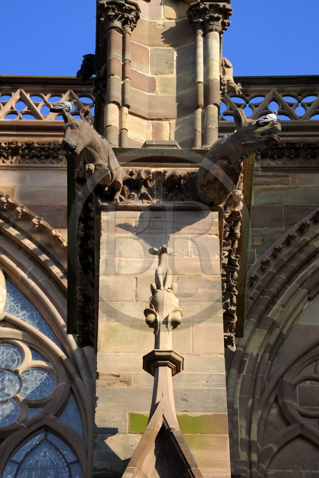 France, Bas-Rhin (67), Strasbourg, la cathédrale Notre-Dame, gargouille de la façade Nord