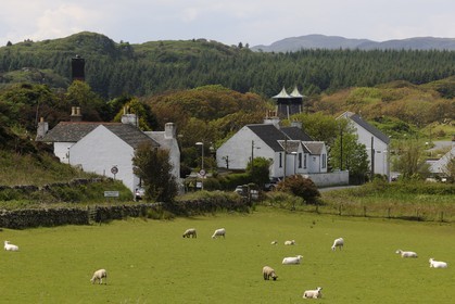 Royaume-Uni, Ecosse, Hébrides intérieures, Ile de Islay, Port Ellen, distillerie de whisky Lagavulin
