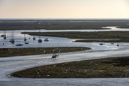 Portugal, Algarve, Faro, boat moving in the lagoon of the Ria Formosa Nature Park