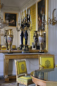 France, Yvelines (78), château de Versailles, classé Patrimoine Mondial de l'UNESCO, le Grand Trianon, salon de famille de Louis Philippe