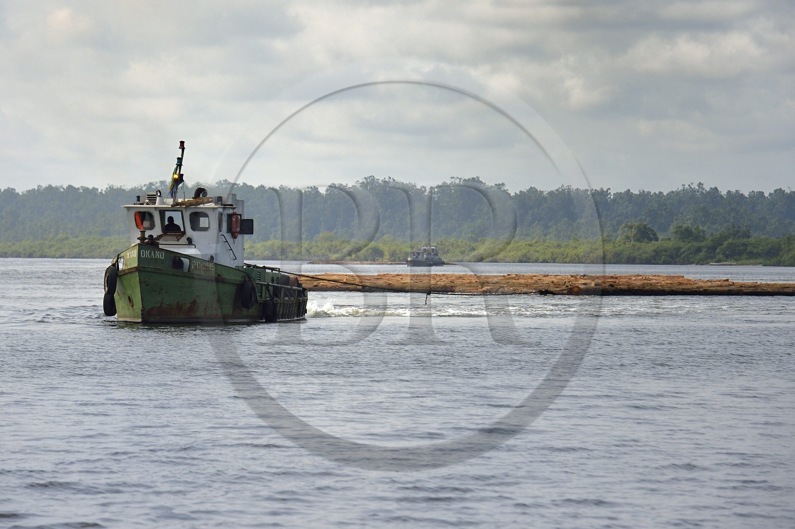 Gabon, province de Ogooué- Maritime, région de Port-Gentil, billes de bois transportées en radeau jusqu'à Port-Gentil dans la baie du Cap Lopez