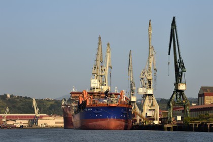 Espagne, Pays basque espagnol, Biscaye, Sestao, port industriel de Bilbao sur le fleuve Nervion centré sur la sidérurgie et la construction navale, chantiers navals Construcciones Navales del Norte (La Navale de Sestao)