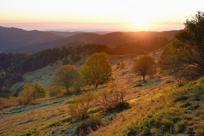 France, Haut Rhin, Wasserbourg, massif of the Vosges bordering the plain of Alsace at the Ferme-auberge (farm-inn) Buchwald on the Petit Ballon mountain