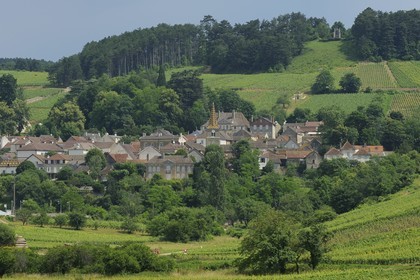 France, Côte d'Or (21), le village de Pernand-Vergeles