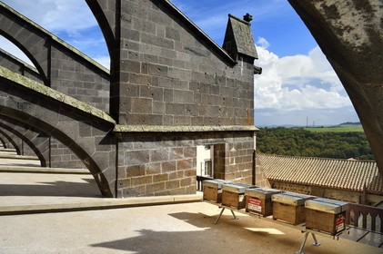 France, Cantal, Saint Flour, Saint Pierre (St Peter) cathedral, beehives on the roof