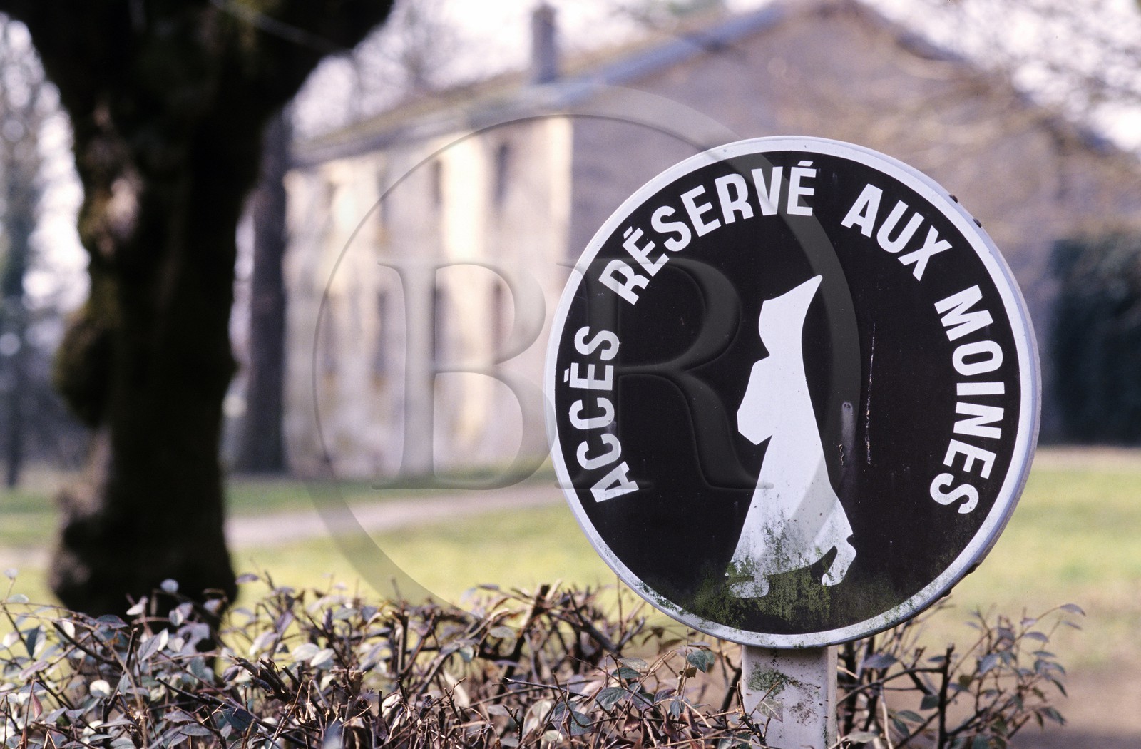 France, Côte-d'Or (21), Cîteaux, moines de l' abbaye cistercienne de Cîteaux