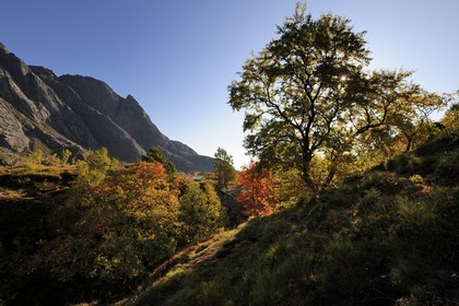 Norvège, Nordland, Iles Lofoten, Ile de Flakstadoy, paysage aux alentours du village de Nussfjord