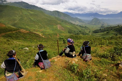 Vietnam, Lao Cai province, North-West Sapa district, farmers from the Blue Hmong minority group