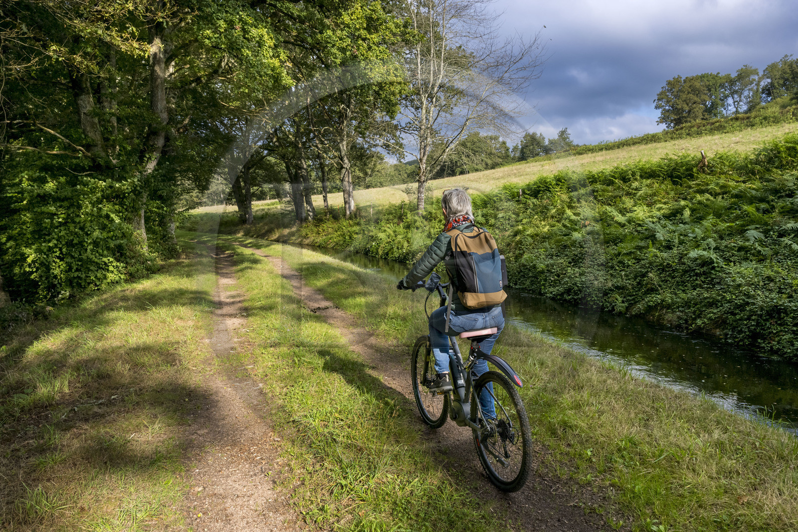 France, Nièvre (58), Parc naturel régional du Morvan, Montreuillon, cycliste sur le chemin bordant la Rigole d'Yonne qui puise les eaux de l'Yonne au lac de Pannecière et alimente le canal du Nivernais