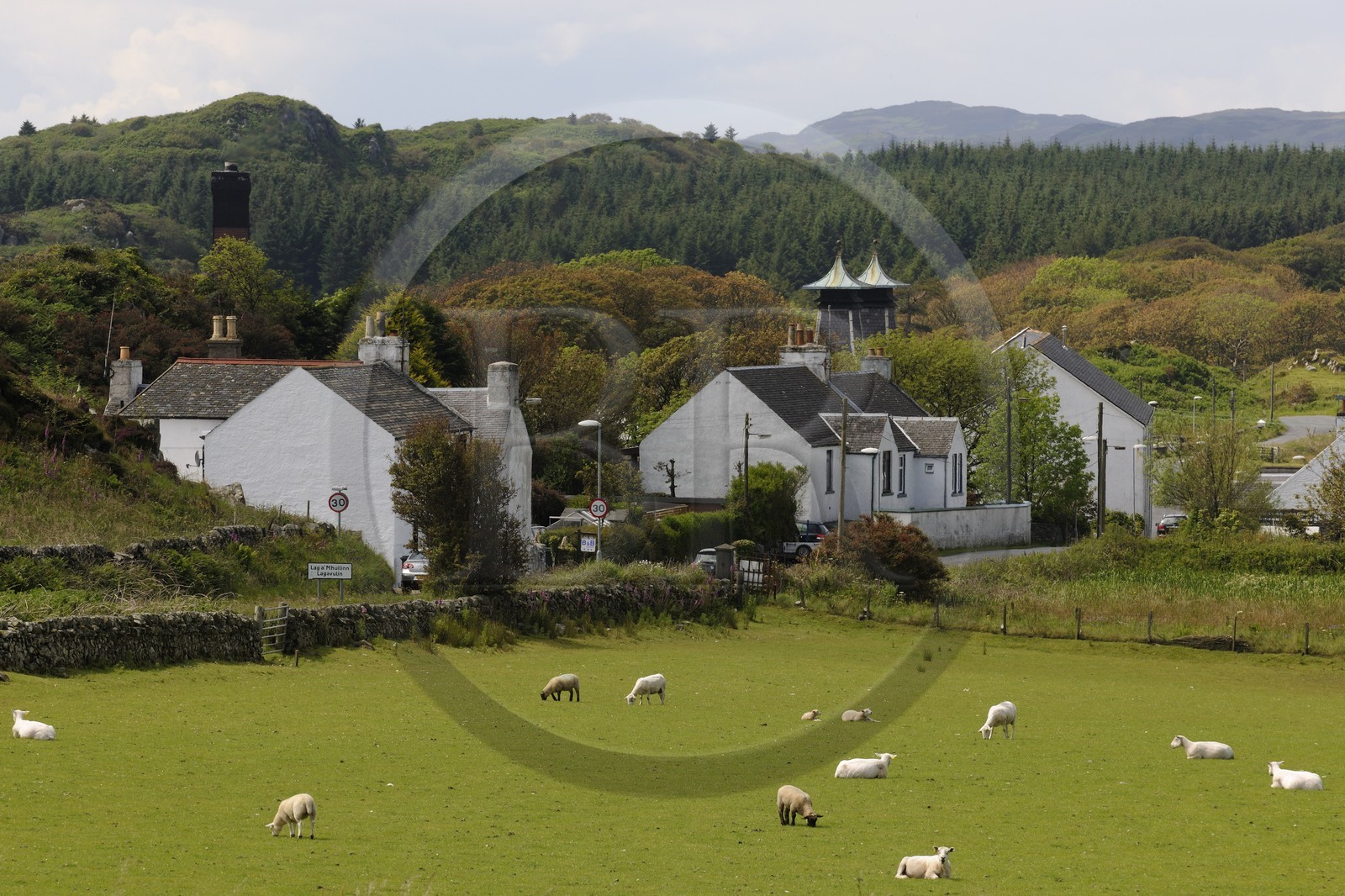 Royaume-Uni, Ecosse, Hébrides intérieures, Ile de Islay, Port Ellen, distillerie de whisky Lagavulin