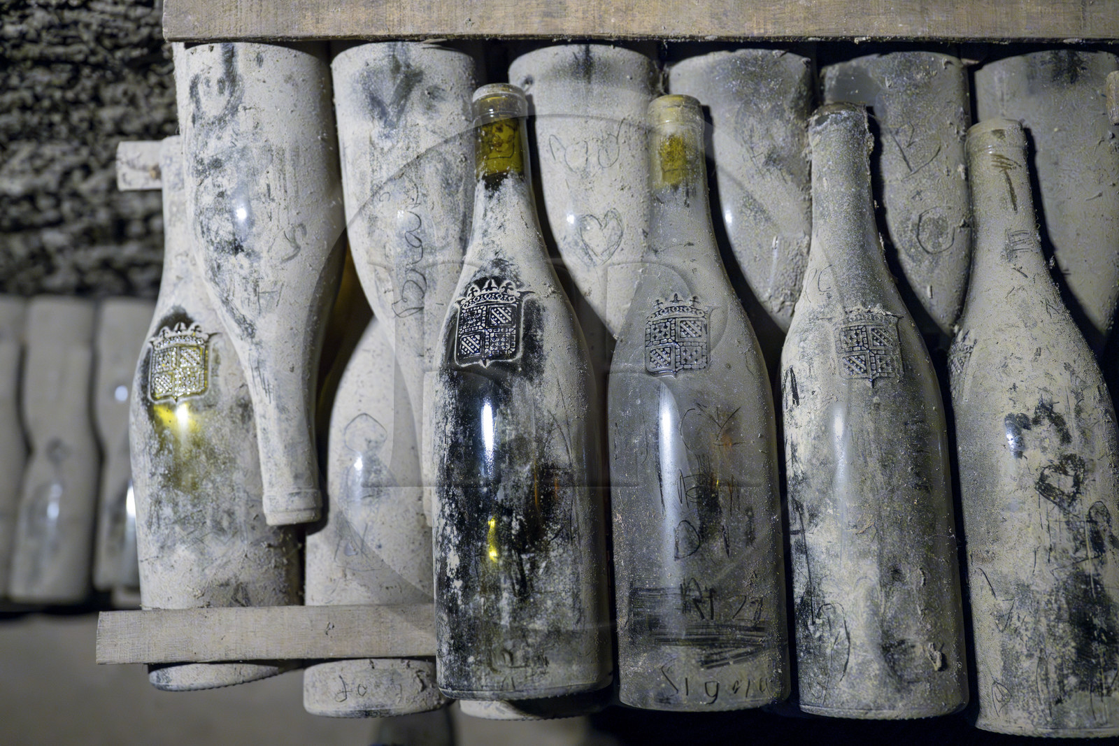 France, Côte-d'Or (21), les climats de Bourgogne classés Patrimoine Mondial de l'UNESCO, Beaune, les caves de la Maison Patriarche, société viticole de négociant-éleveur, les plus anciennes bouteilles prennent la poussière